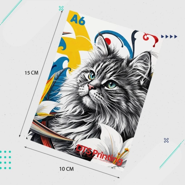 Ejemplo de diseño de flyer a dos caras de DTS Printing