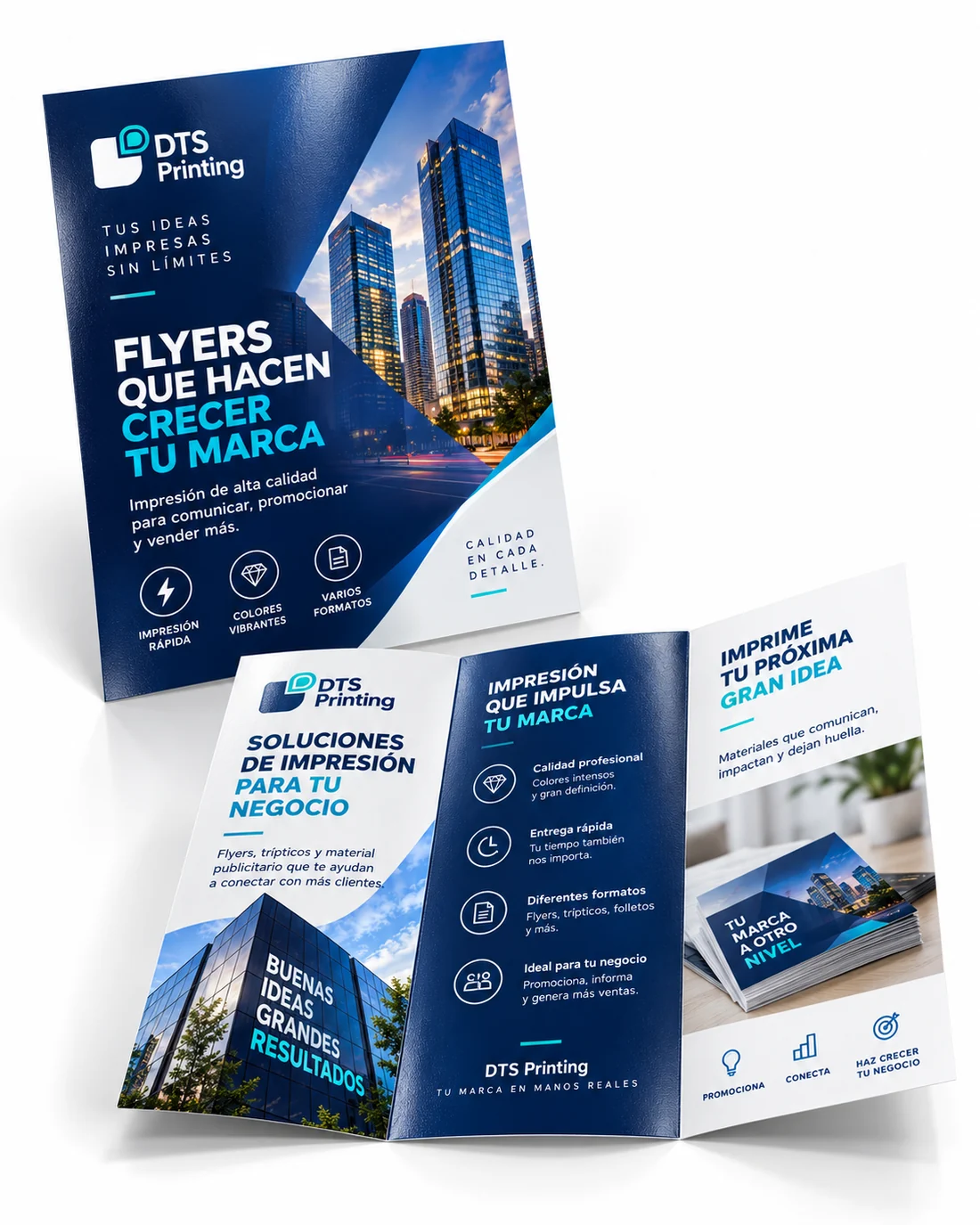 Ejemplos de flyers y folletos personalizados para campañas de negocios, impresos por DTS Printing