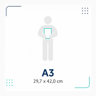 Carteles personalizados online
