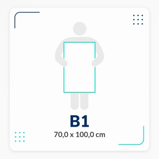 Cartel B1 vertical, 70,0 × 100,0 cm