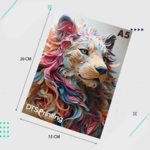 Flyers a5 15cm x 20cm